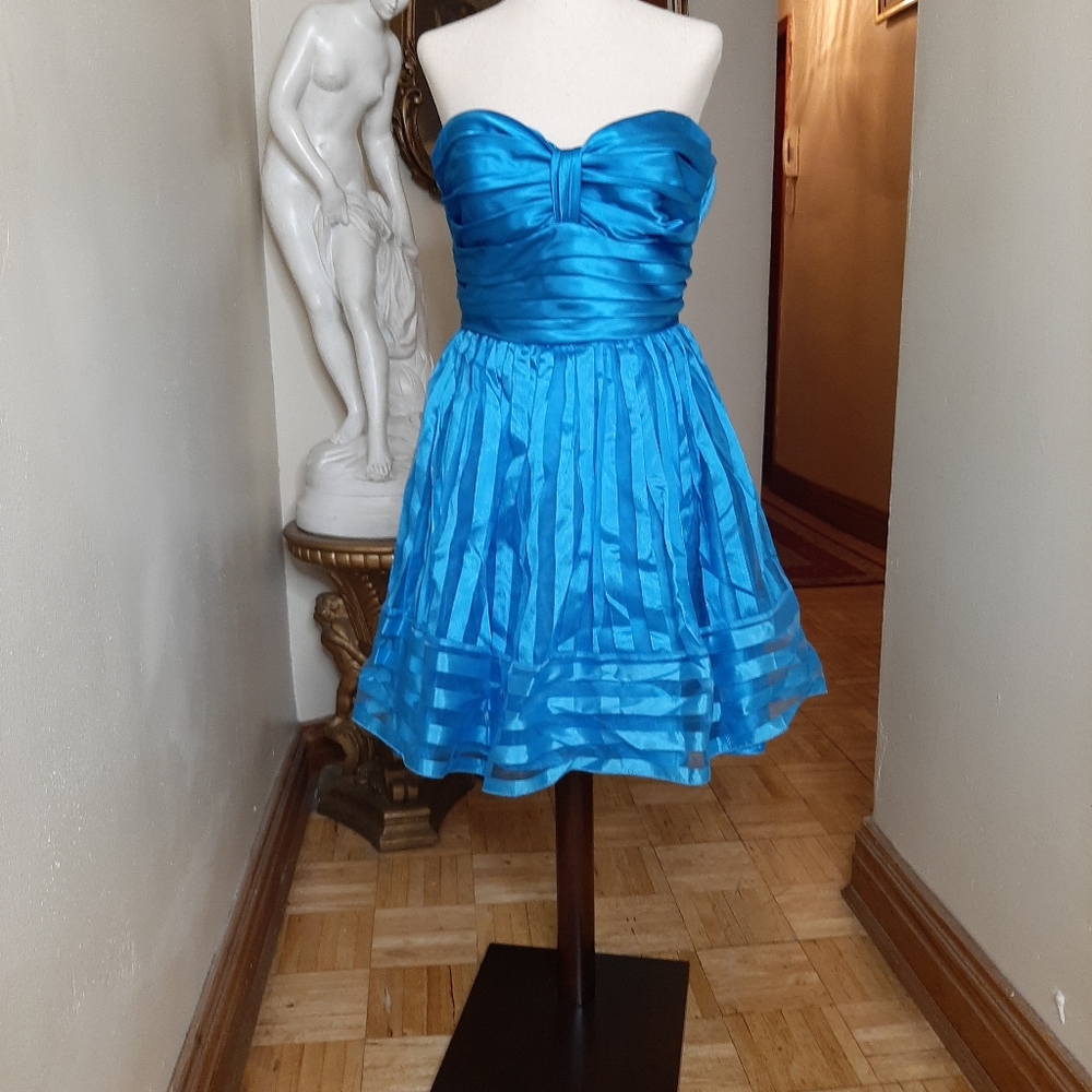 Betsey Johnson Burn Out Stripe Organza Dress